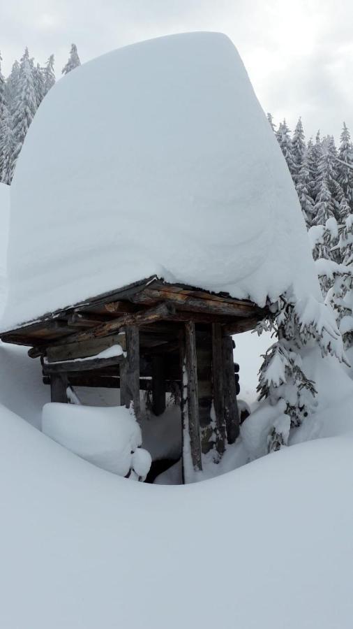Haus Hoellwart Sankt Johann im Pongau Dış mekan fotoğraf